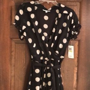 NWT Sandra Darren Polka Dot dress size 14P Phoebe Friends dress